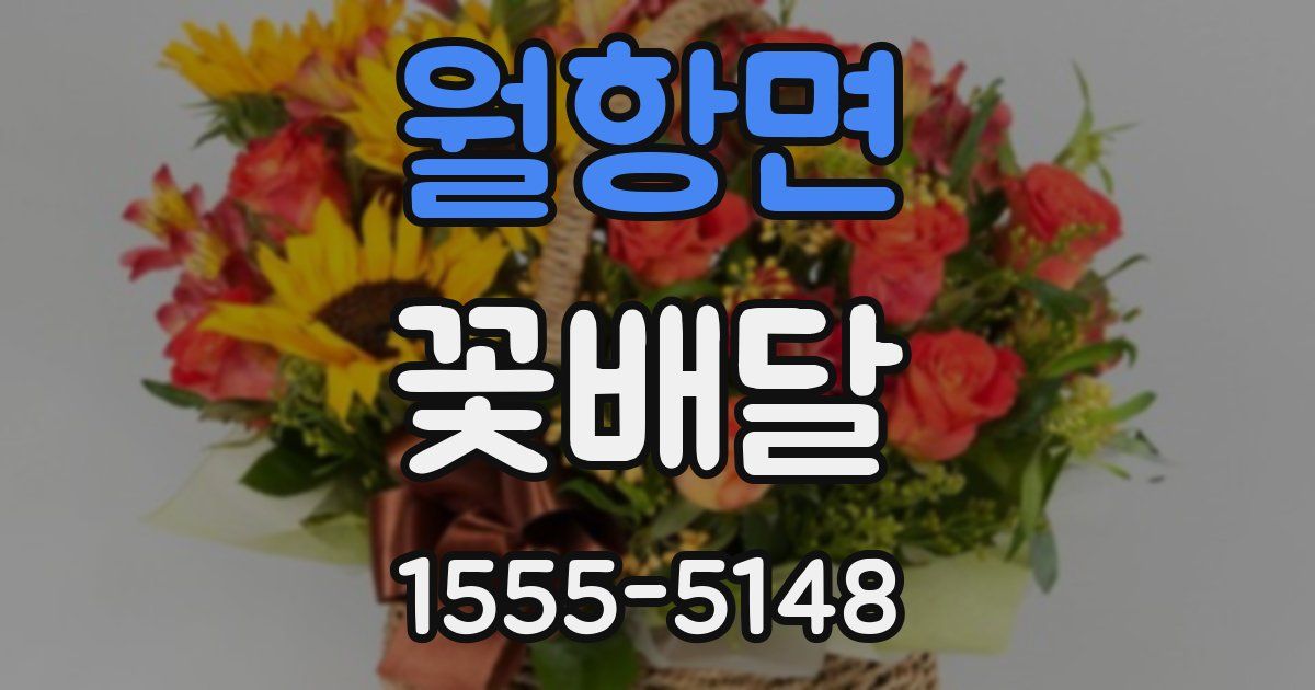 월항면 꽃배달
