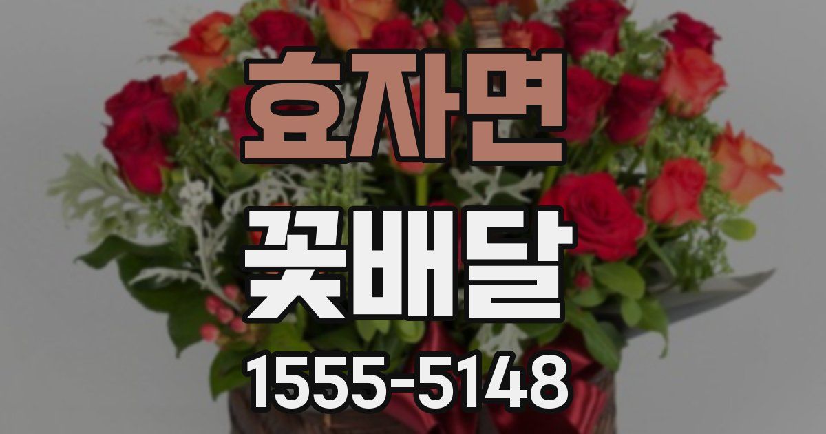 효자면 꽃배달