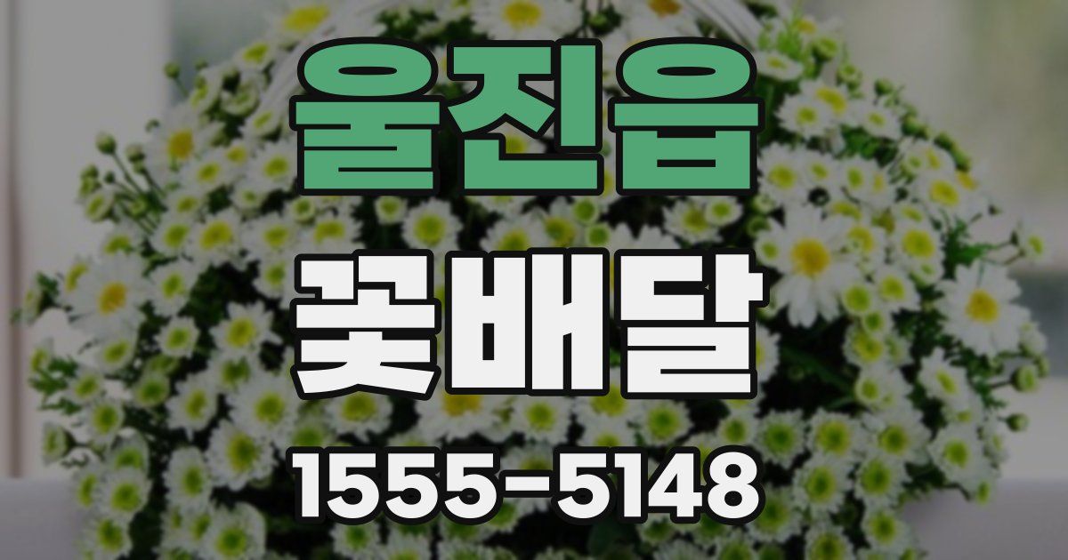 울진읍 꽃배달