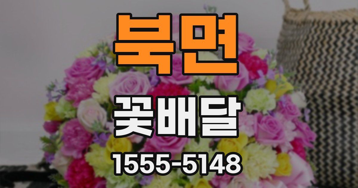 북면 꽃배달