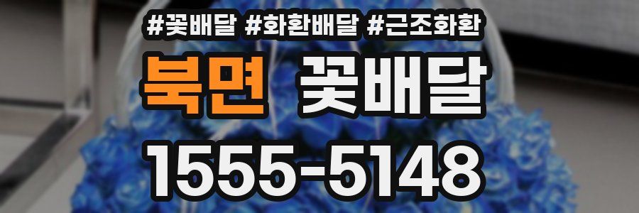 북면 꽃배달
