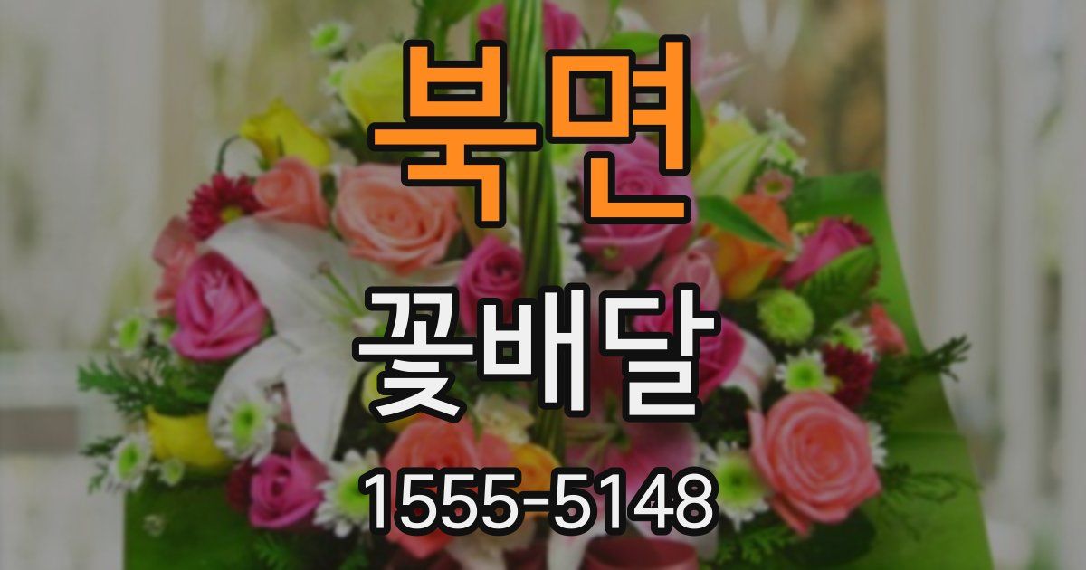 북면 꽃배달