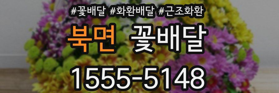 북면 꽃배달
