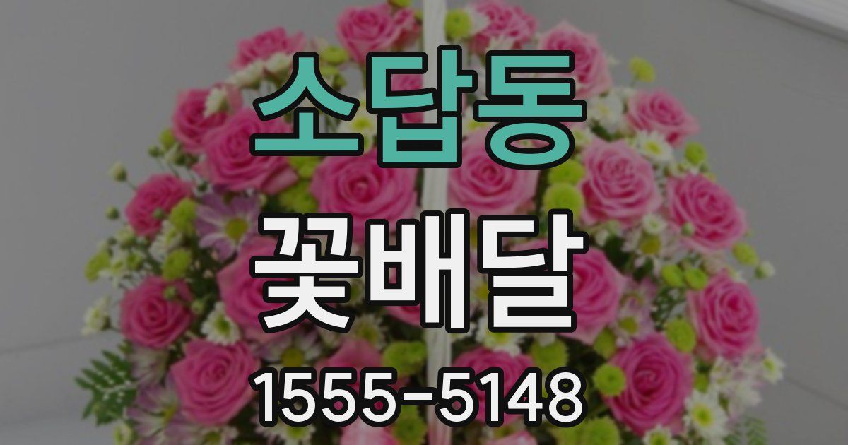 소답동 꽃배달