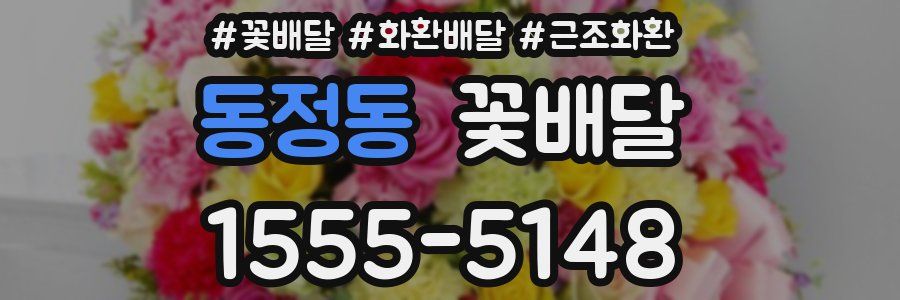 동정동 꽃배달