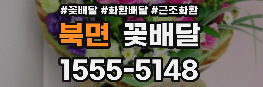 북면 꽃배달