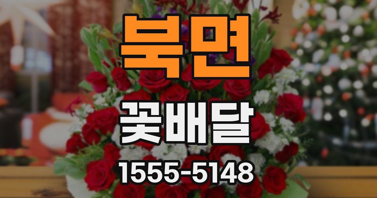 북면 꽃배달