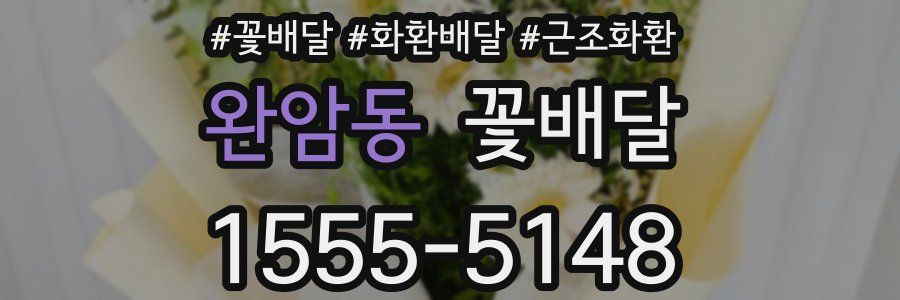 완암동 꽃배달