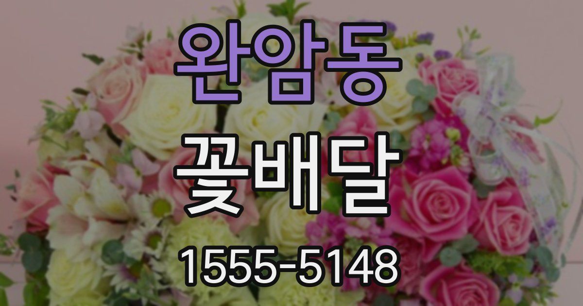 완암동 꽃배달