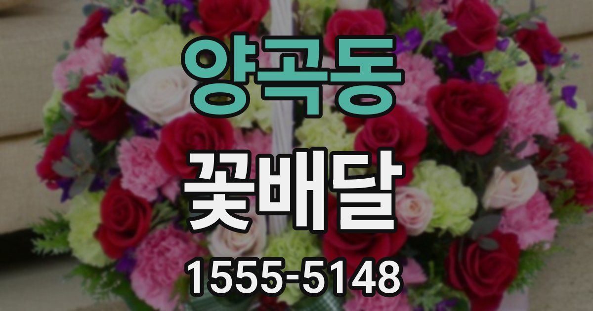 양곡동 꽃배달