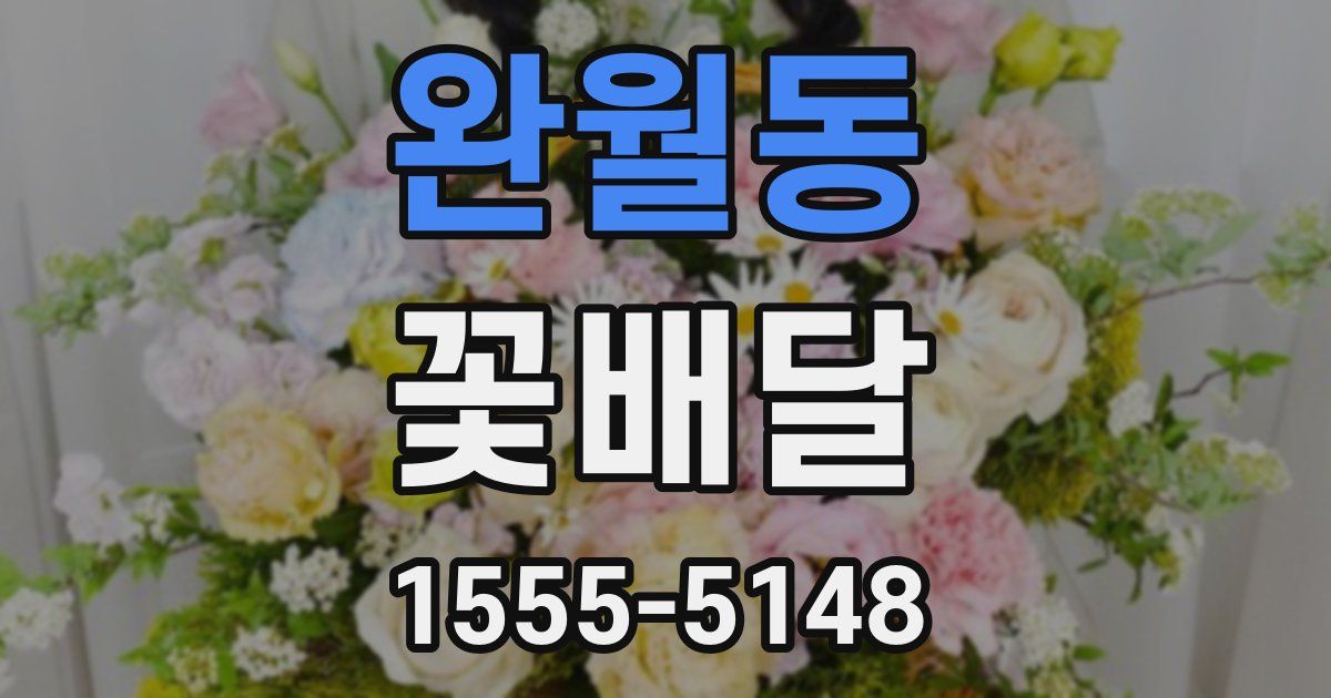 완월동 꽃배달
