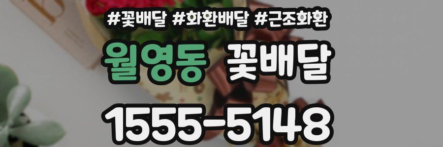 월영동 꽃배달