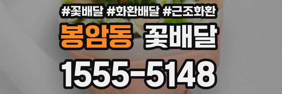 봉암동 꽃배달