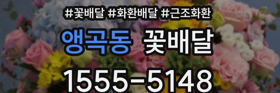 앵곡동 꽃배달