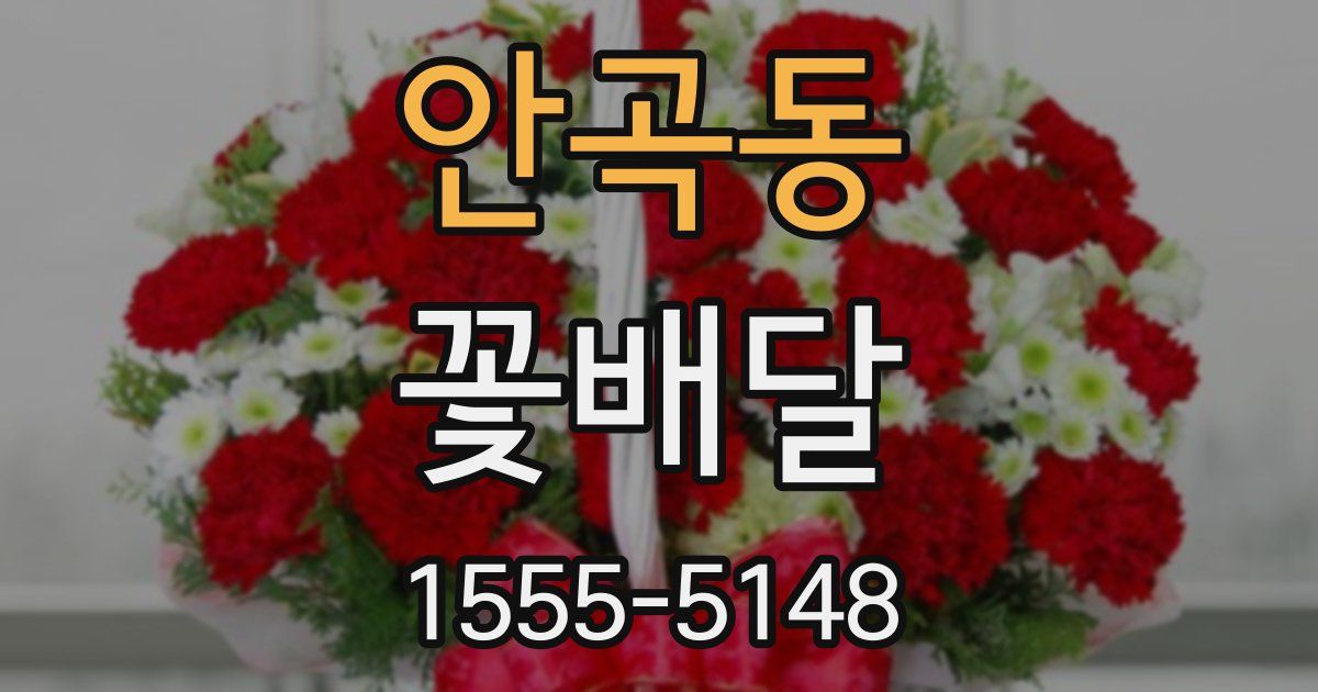 안곡동 꽃배달
