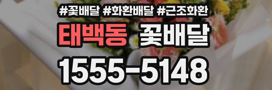 태백동 꽃배달
