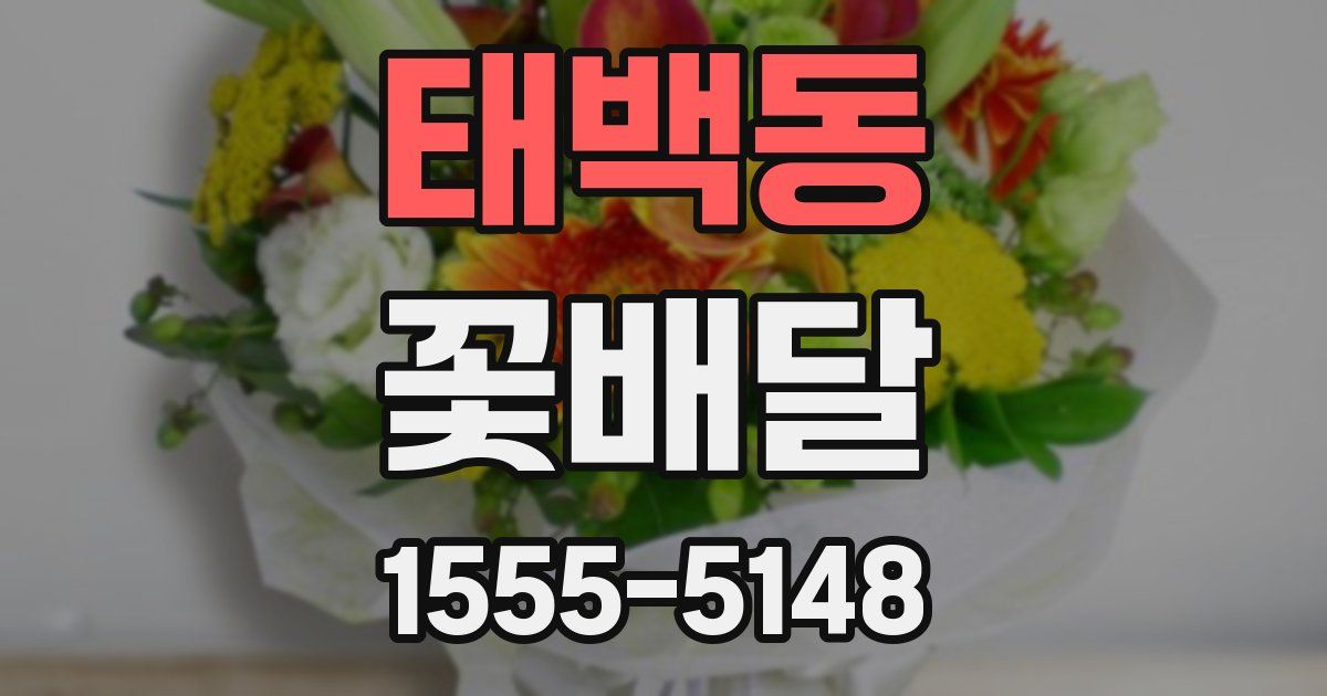 태백동 꽃배달