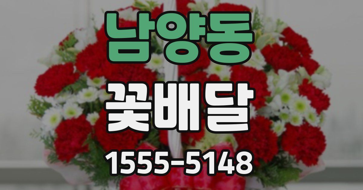 남양동 꽃배달