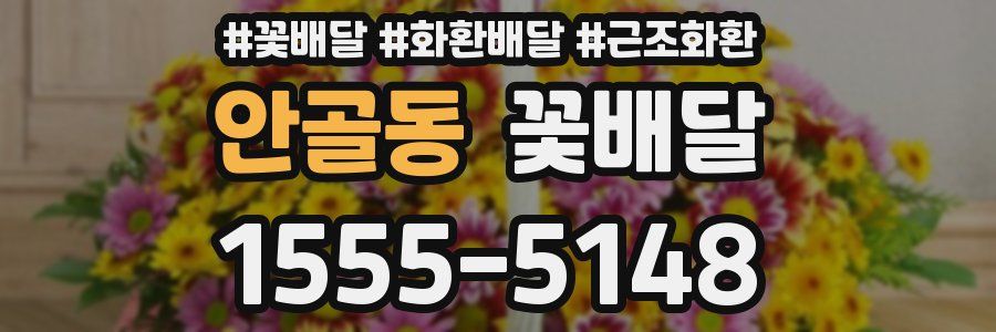안골동 꽃배달