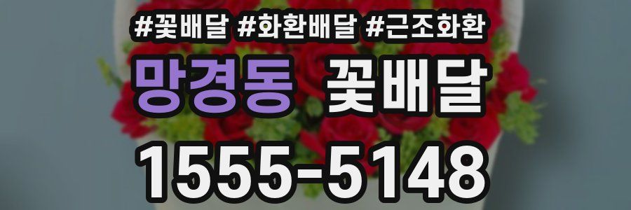 망경동 꽃배달