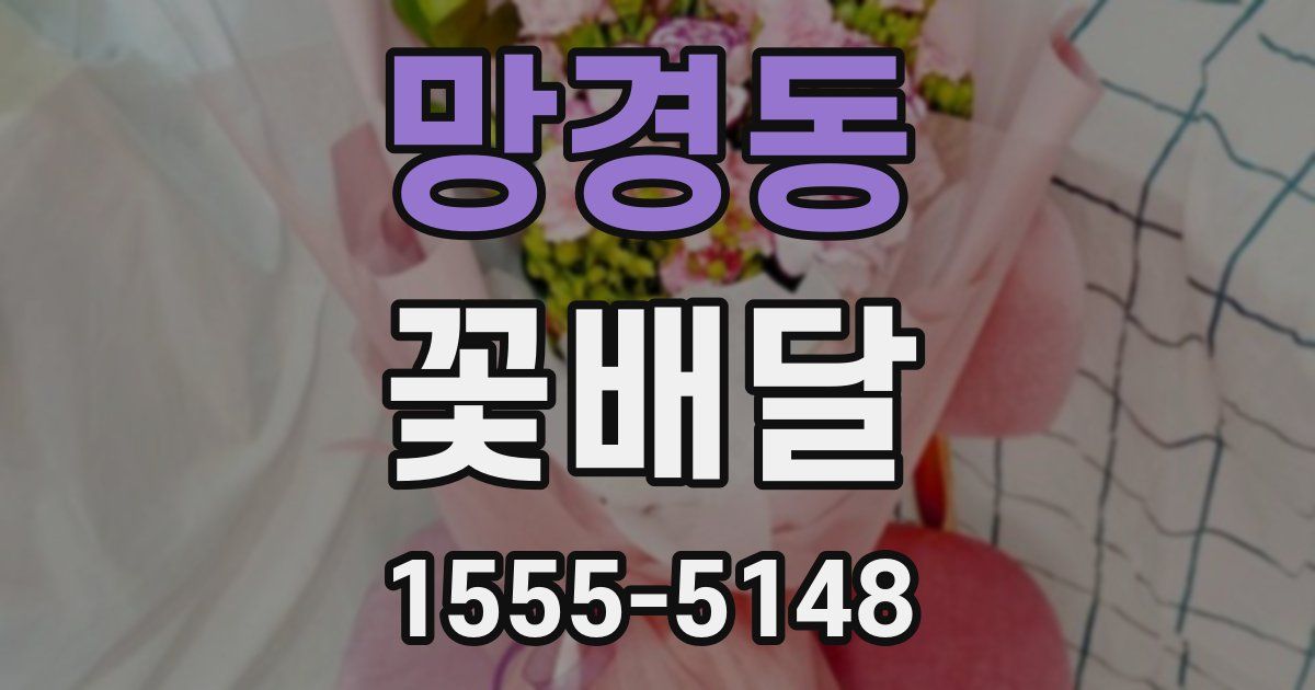 망경동 꽃배달