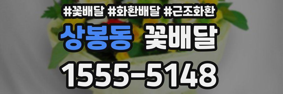 상봉동 꽃배달