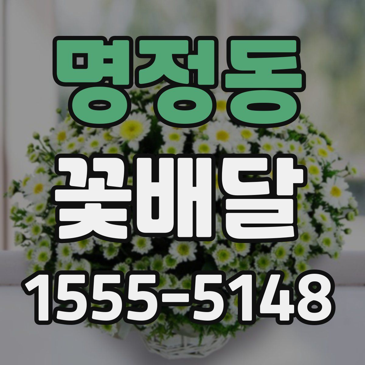 명정동 꽃배달