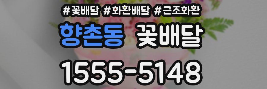 향촌동 꽃배달