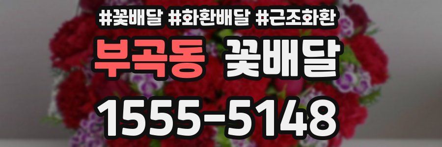 부곡동 꽃배달