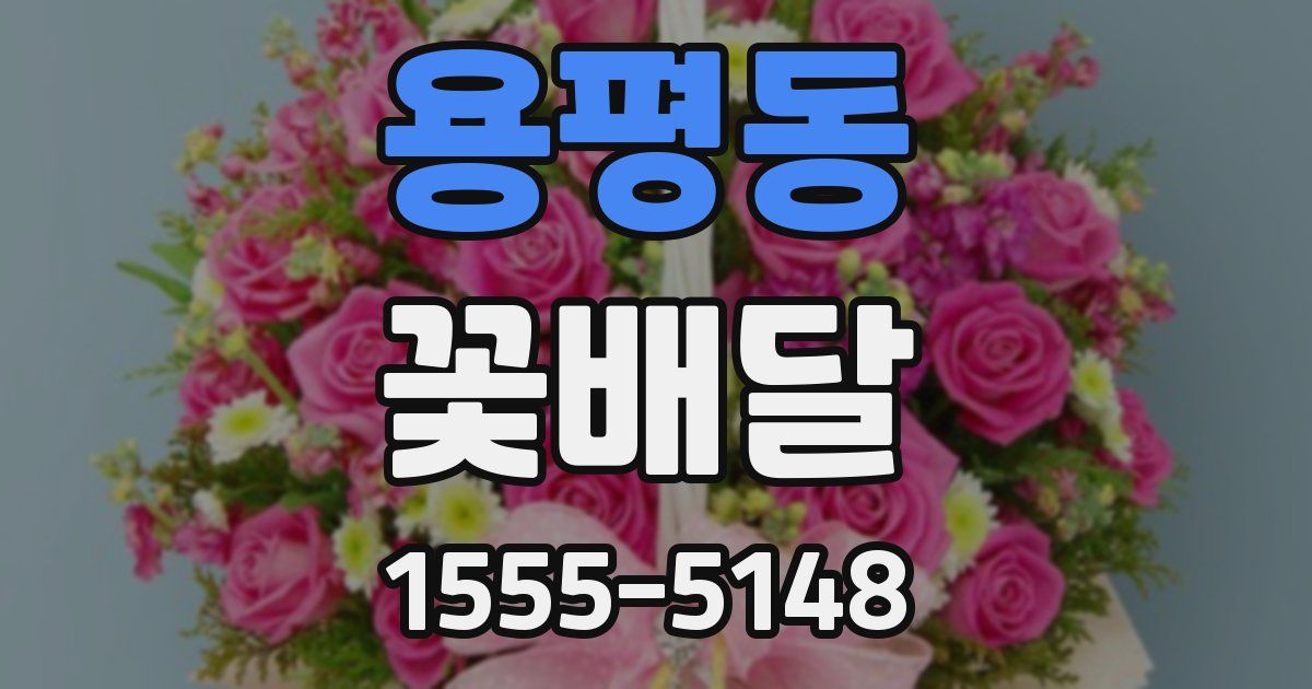 용평동 꽃배달