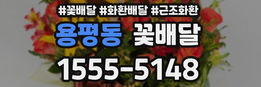 용평동 꽃배달