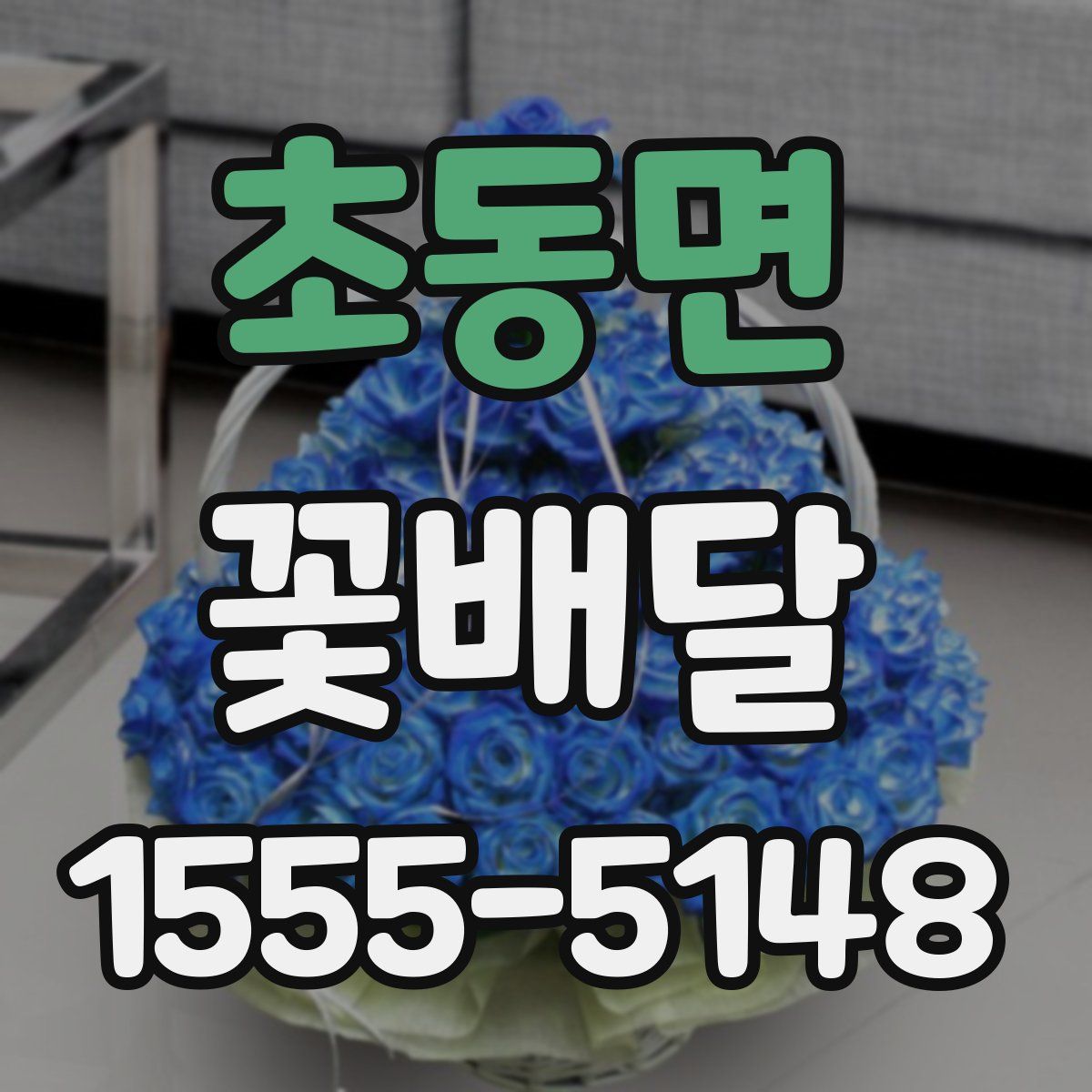 초동면 꽃배달