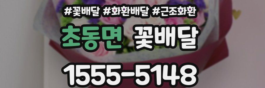 초동면 꽃배달
