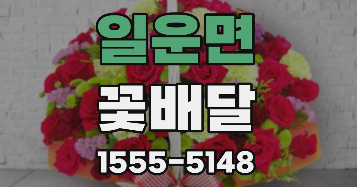일운면 꽃배달