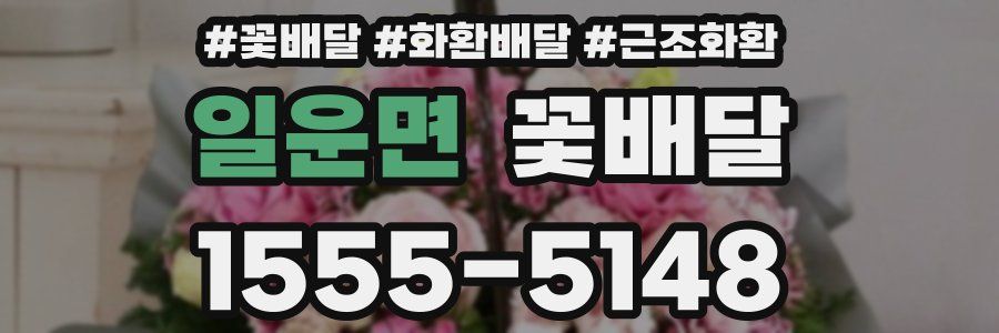일운면 꽃배달