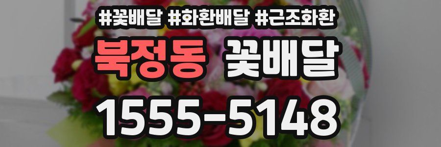 북정동 꽃배달