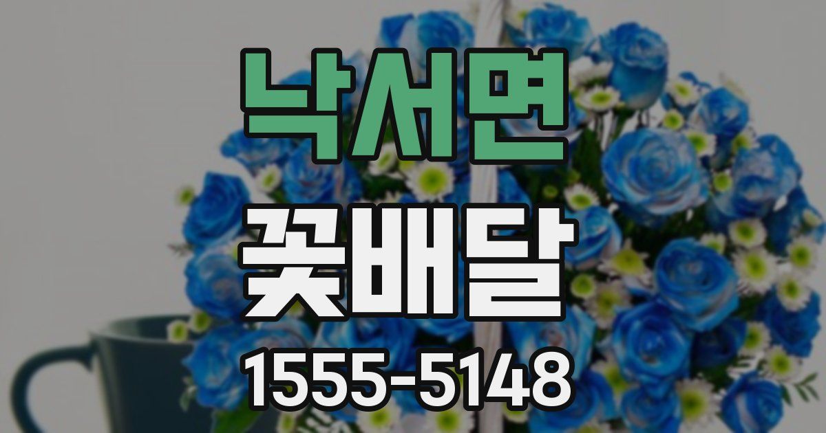 낙서면 꽃배달