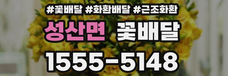 성산면 꽃배달
