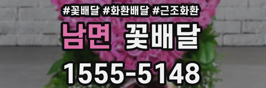 남면 꽃배달