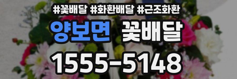 양보면 꽃배달