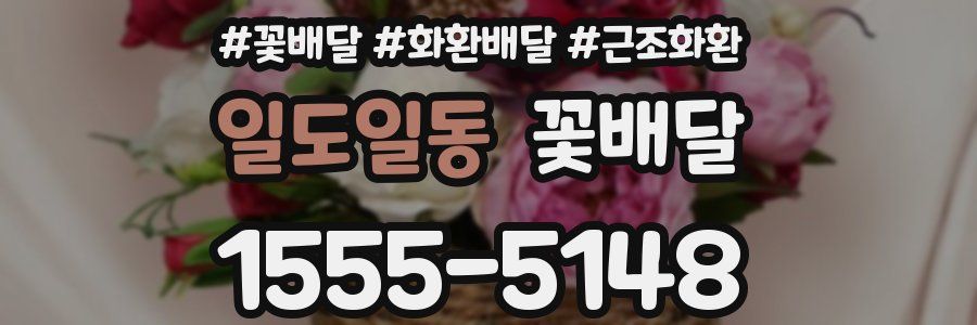 일도일동 꽃배달