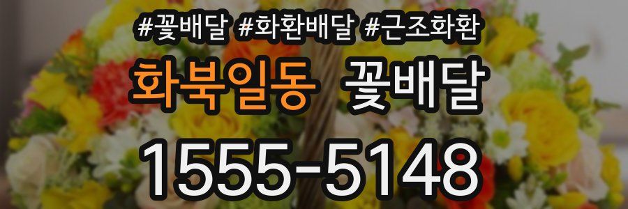 화북일동 꽃배달