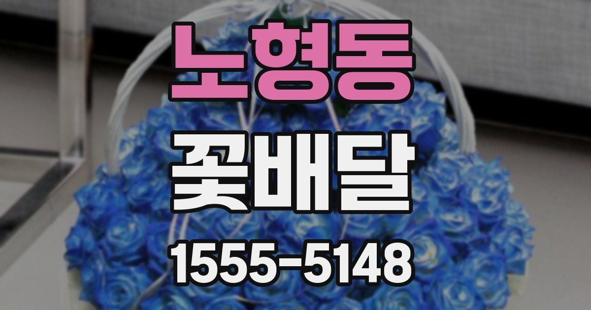 노형동 꽃배달