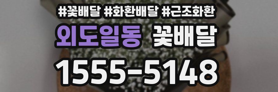 외도일동 꽃배달