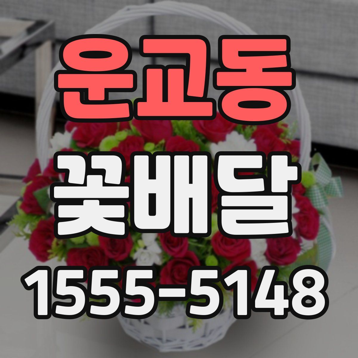 운교동 꽃배달