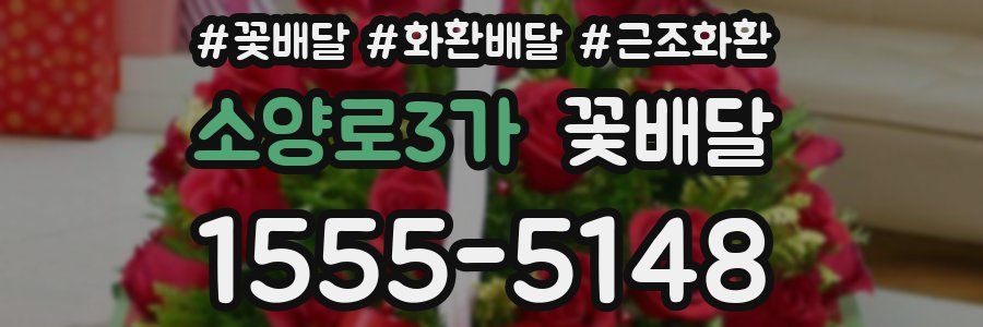 소양로3가 꽃배달