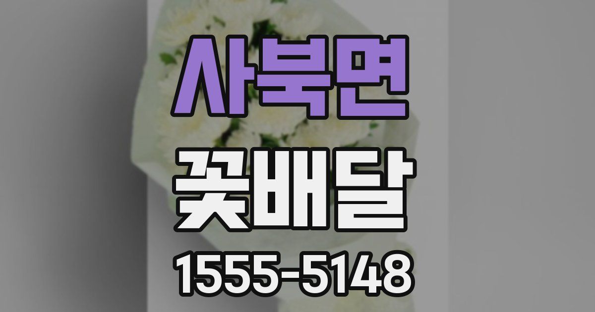 사북면 꽃배달