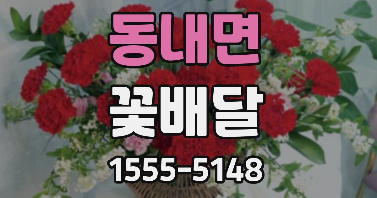 동내면 꽃배달