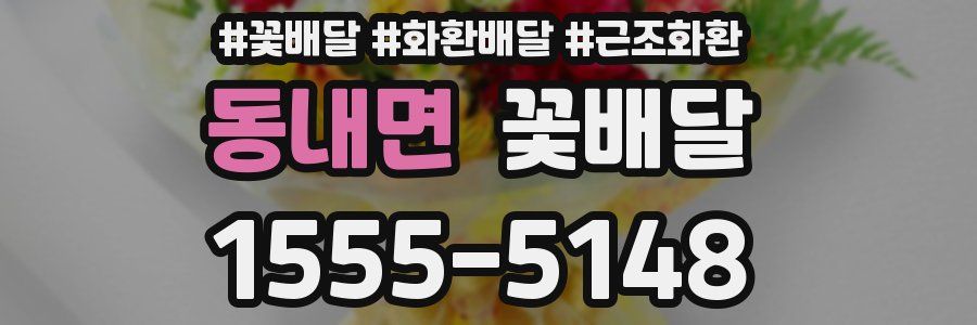 동내면 꽃배달