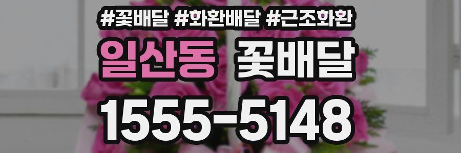 일산동 꽃배달